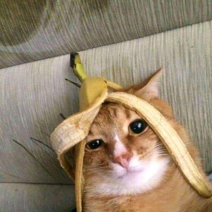 banan