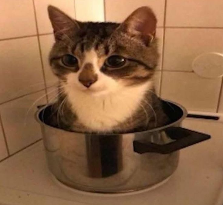yoink
