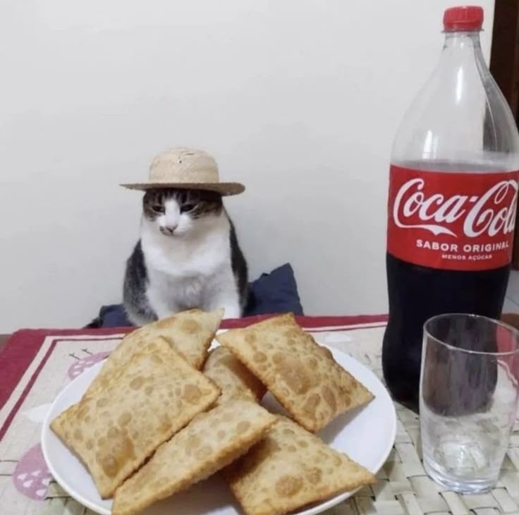 cato