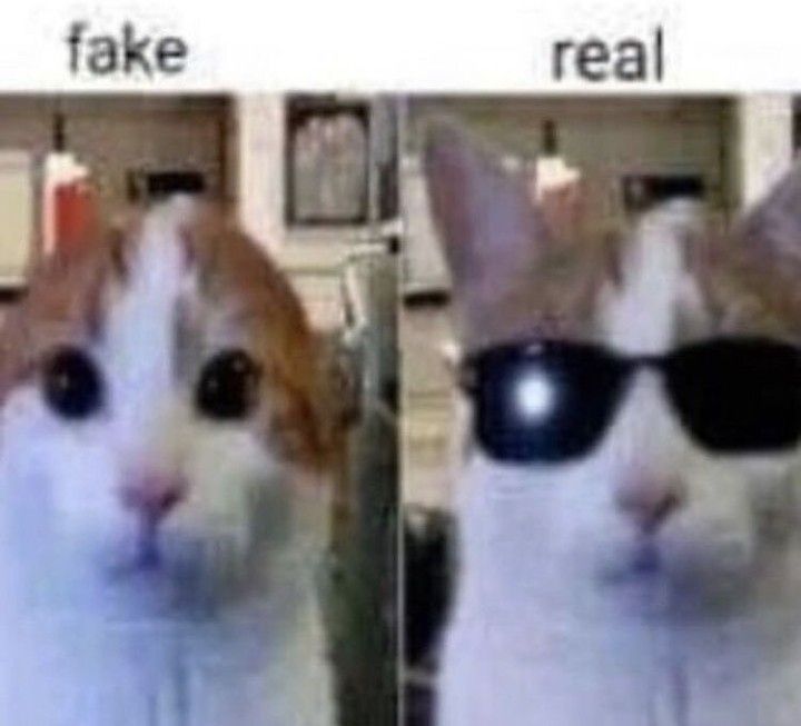 fake