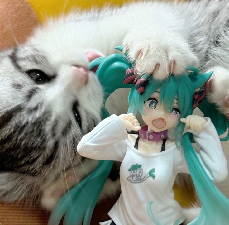 miku cat
